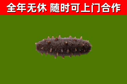 互助回收海参干